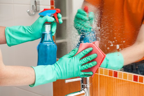 Cleaner Balham service terms introduction