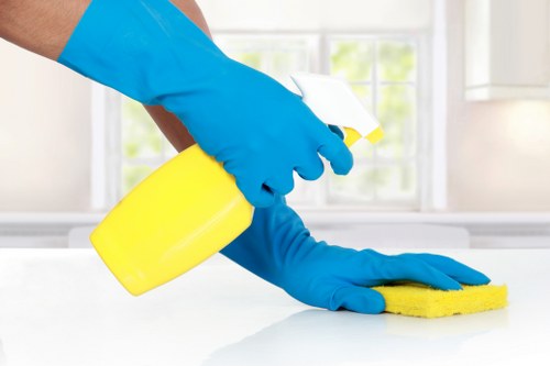 Professional hot water extraction cleaning on a carpet in a Balham property
