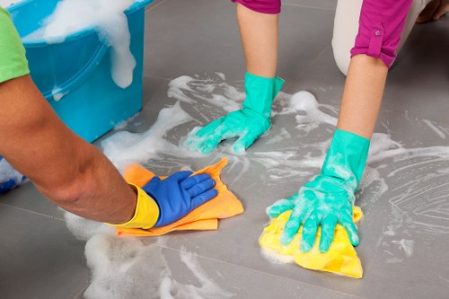 Detailed cleaning scene showing a bright and tidy Balham living space