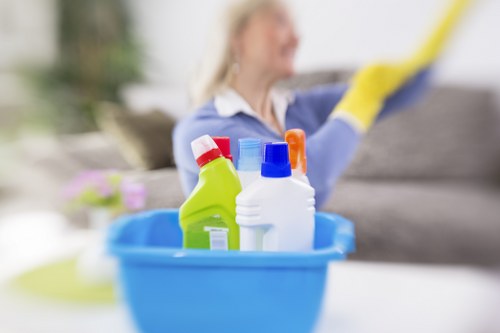 Deep cleaning equipment used for pet odour removal on a Balham rug