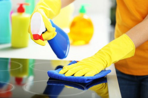 Local cleaning professional working in a Balham flat