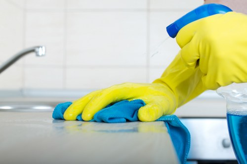 Technician performing a deep oven clean in a Balham flat kitchen