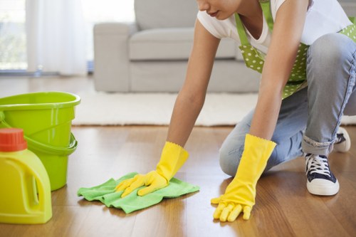 Cleaner maintaining a kitchen during a recurring visit in Balham